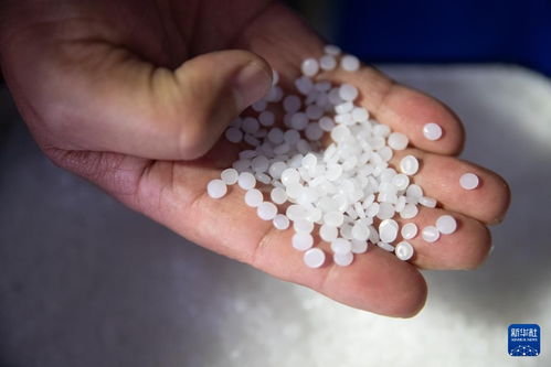 新華全媒 新時代中國調研行之看區域 東北篇 東北石化產業 減油增化 再造產業新動能